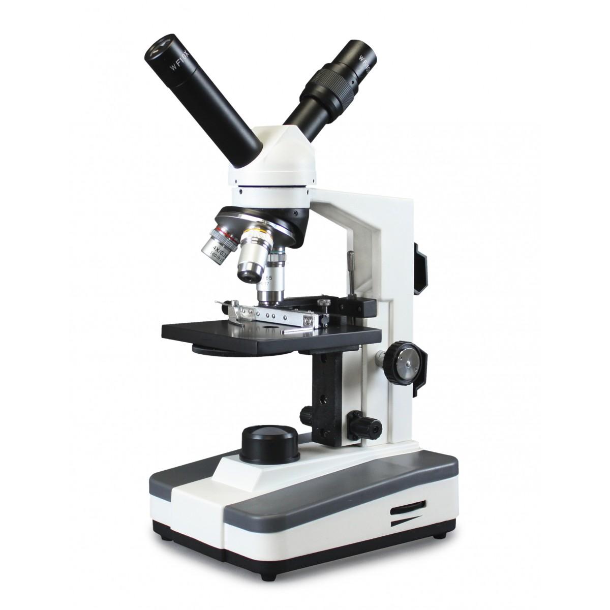 High School Microscope (45° Dual Viewing)