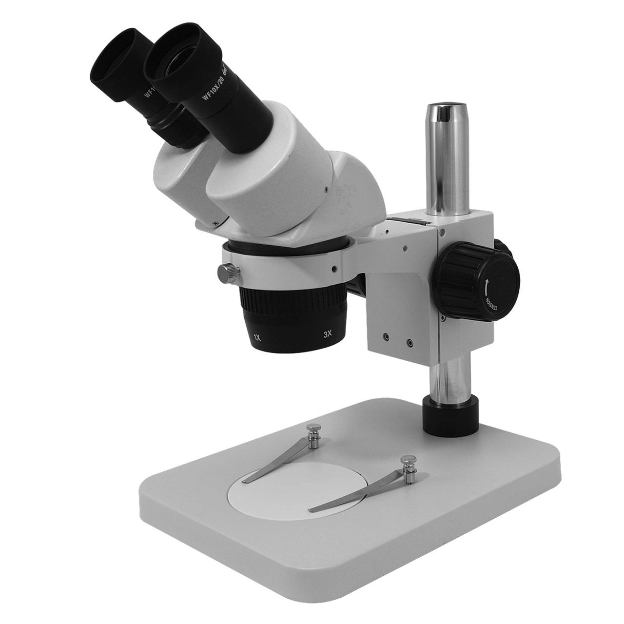 Standard Stereo Microscope - 30X Magnification
