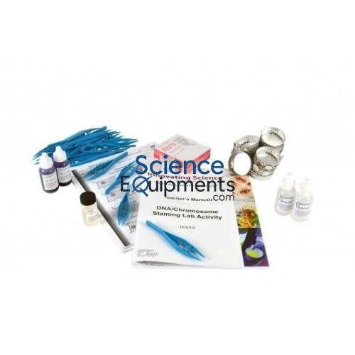 Science Lab DNA/Chromosome Staining Lab Activity