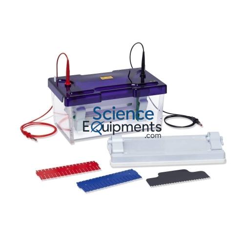 Science Lab Double Gel Electrophoresis Apparatus