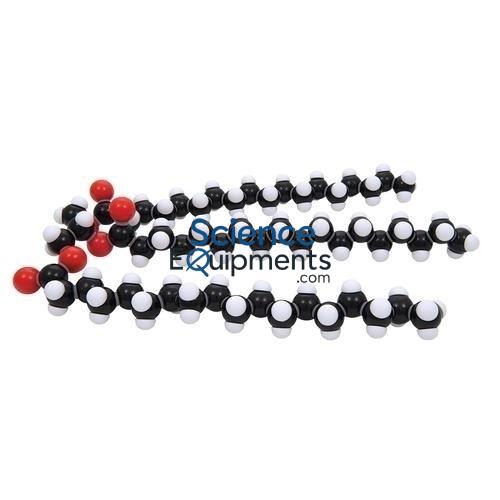 Science Lab Fat Glyceryl Tristearate Molecular Model Kit