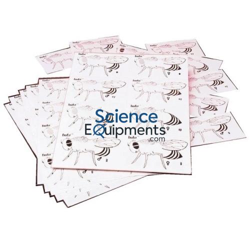 Science Lab Fruit Fly Genetics Kit