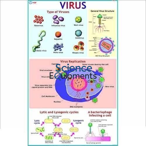 Science Lab General Science Charts