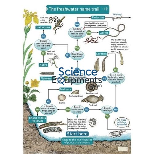 Science Lab Key to Identifying Water Invertebrates