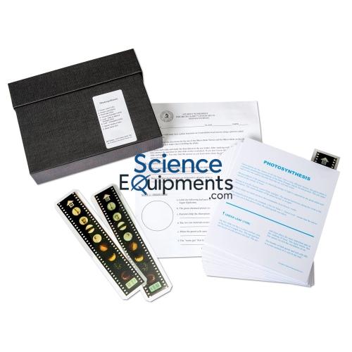 Science Lab Microslide Photosynthesis
