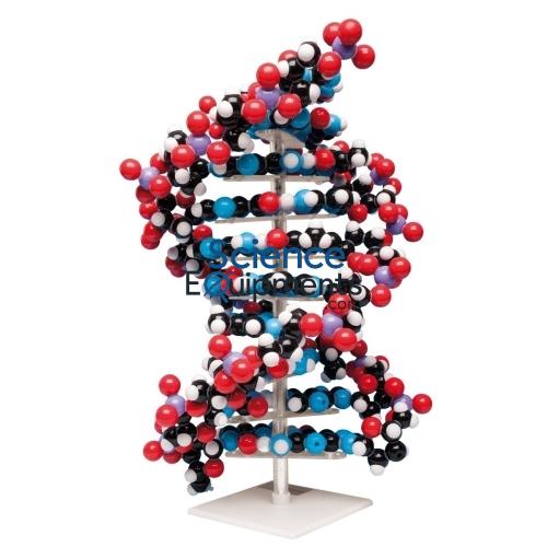 Science Lab Molecular model kit Ten layer DNA