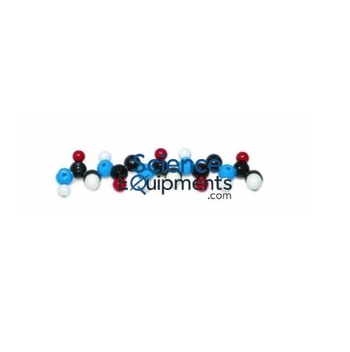 Science Lab Polypeptide Molecular Model Kit