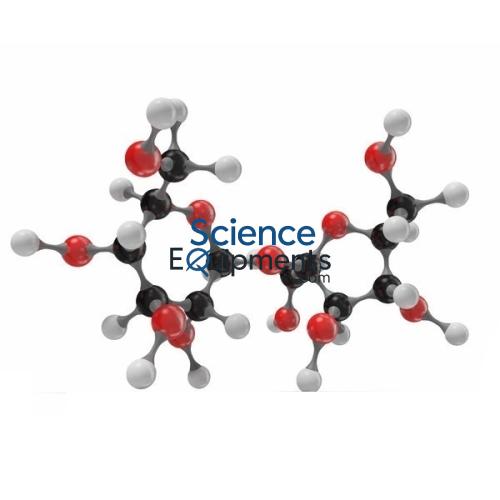 Science Lab Sucrose Molecular Model
