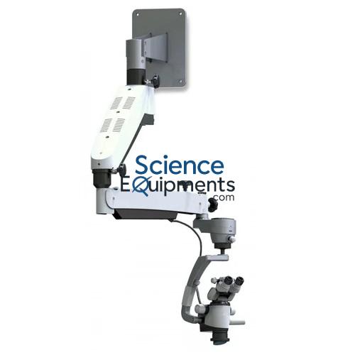 Teeth, 10X Mag, 5 Pc