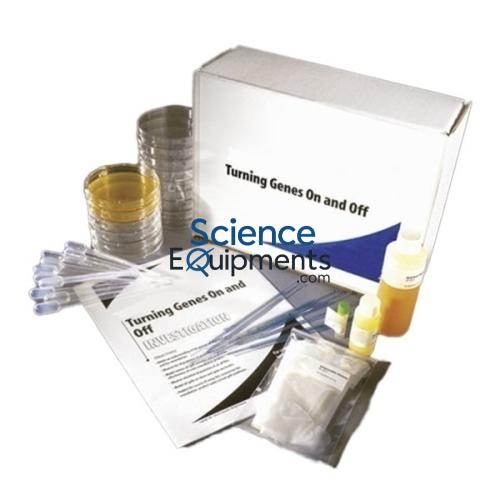 Science Lab Turning Genes On and Off Lab Investigation